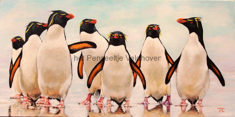 theacronelissen-pinguins