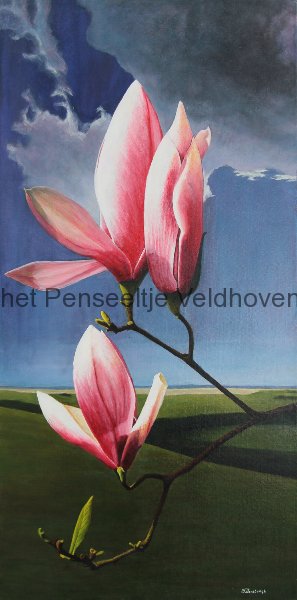 willemversteegh-magnolia