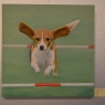 Willem Versteegh - beagle